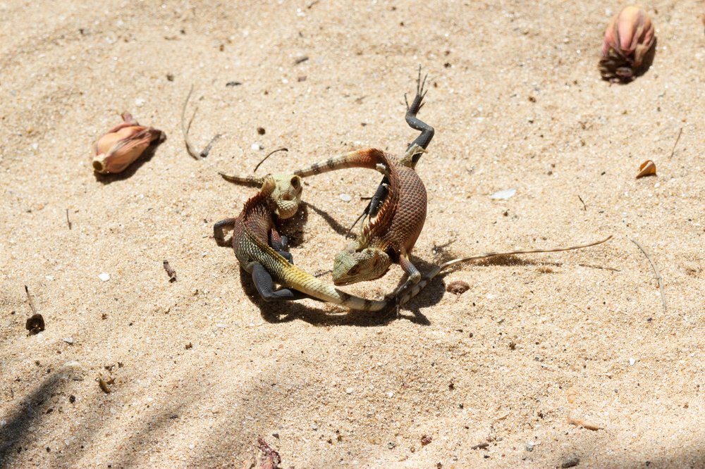 Photograph by Сергей Сыресин