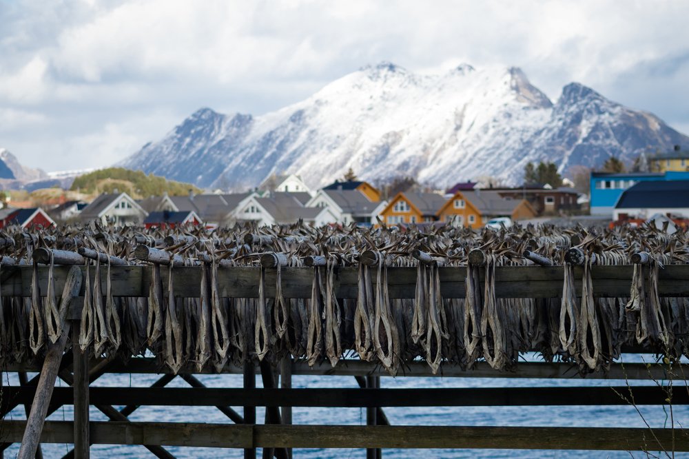 Photograph by Мария Щедрина