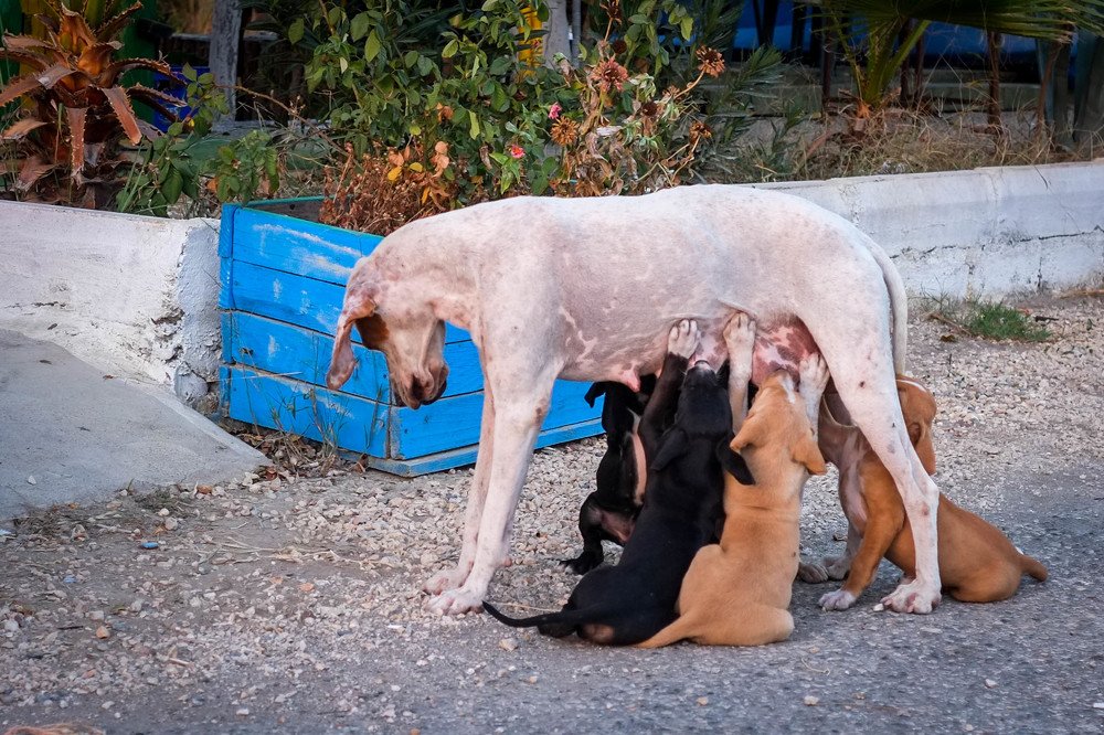 Photograph by Мария Причиненко