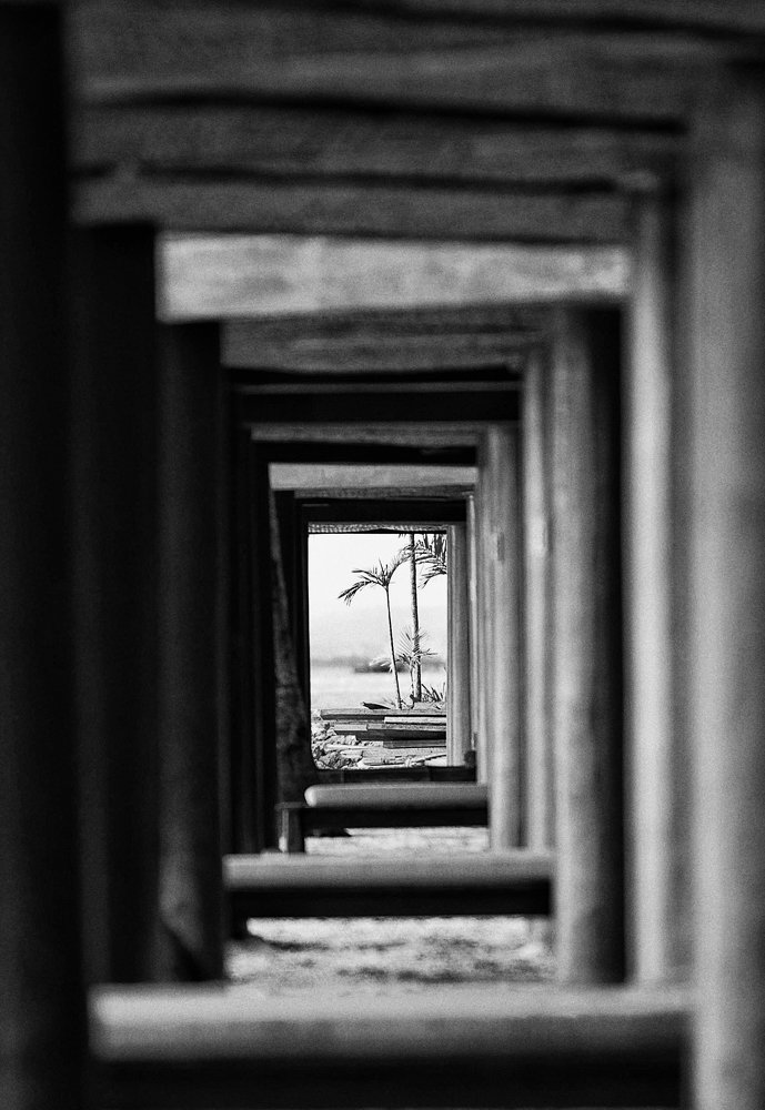 Photograph by Norman Celis