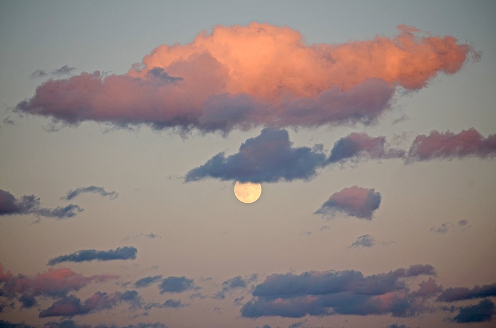 Photograph by Liliana Grup