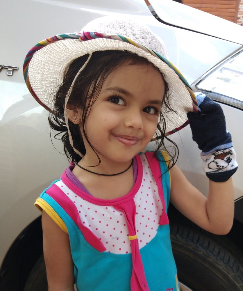 Фотография автора Vijay Pandya