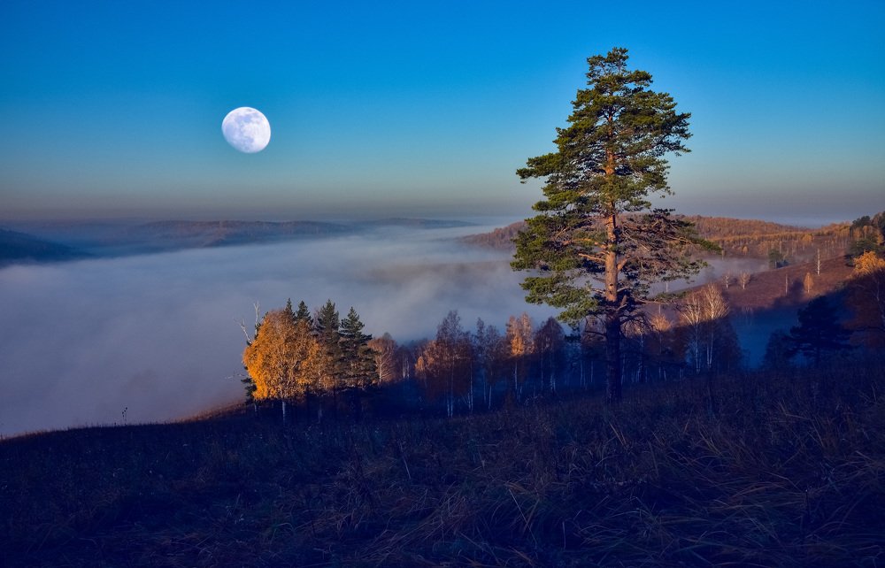 Осенняя луна ...