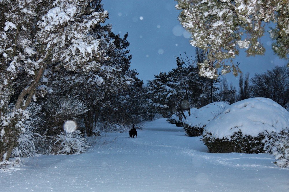 Photograph by света хлевненко