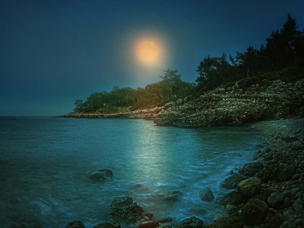 Photograph by Анатолий Веремеев