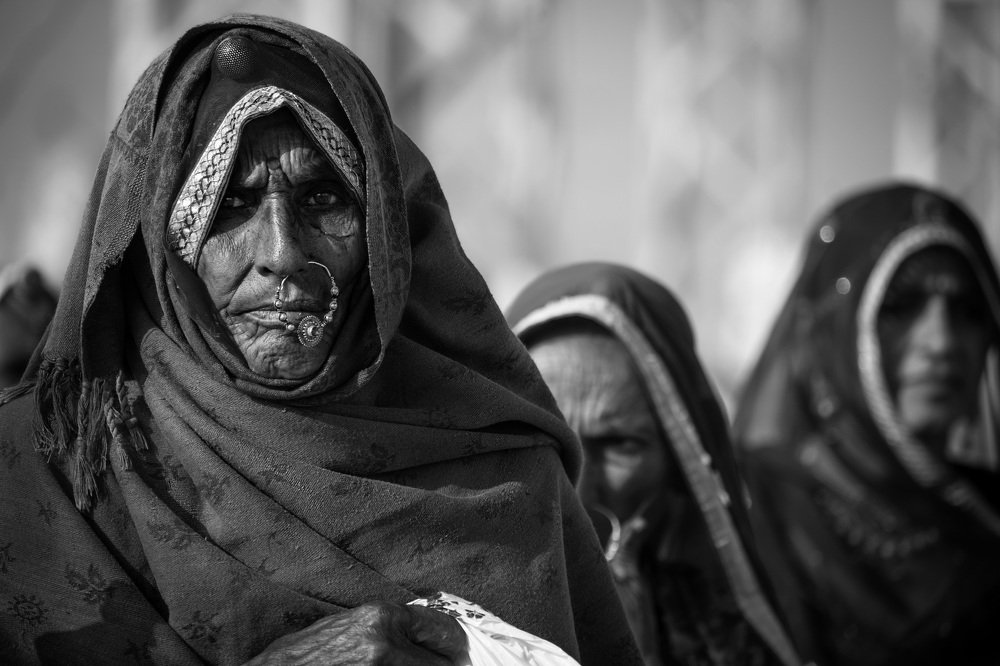 The Untold story of Lady.