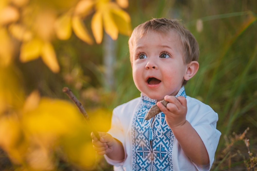 Фотография автора Дарья Шевченко