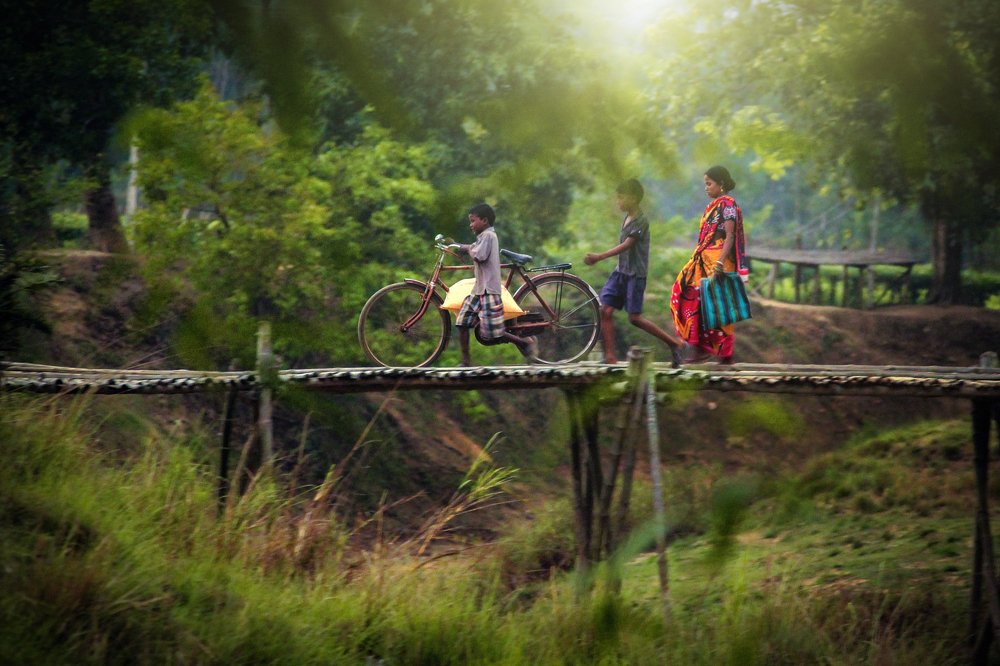 Фотография автора SANDIP BANERJEE