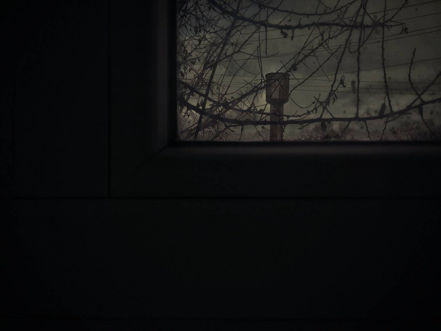 Photo #3911238