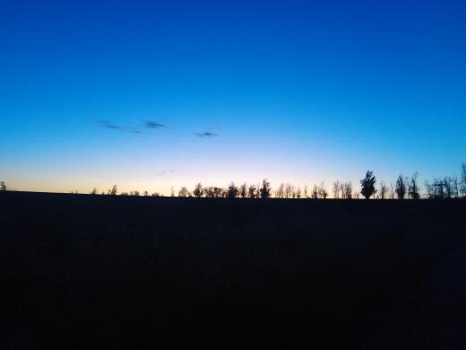 Photo #3911252