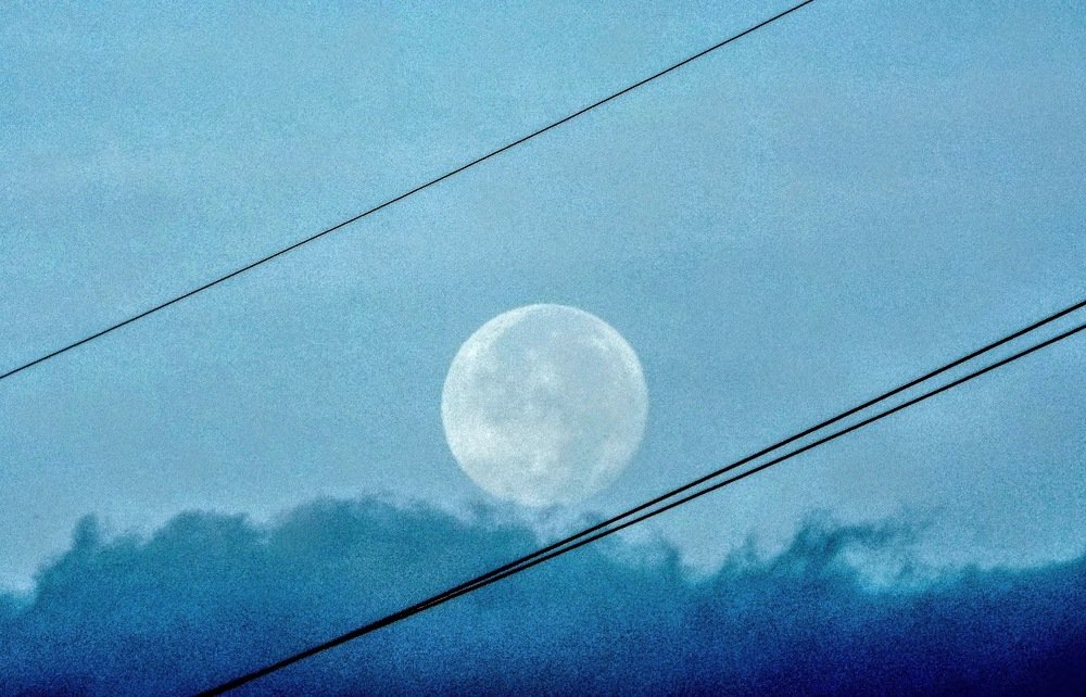 Photograph by brigitte amadio