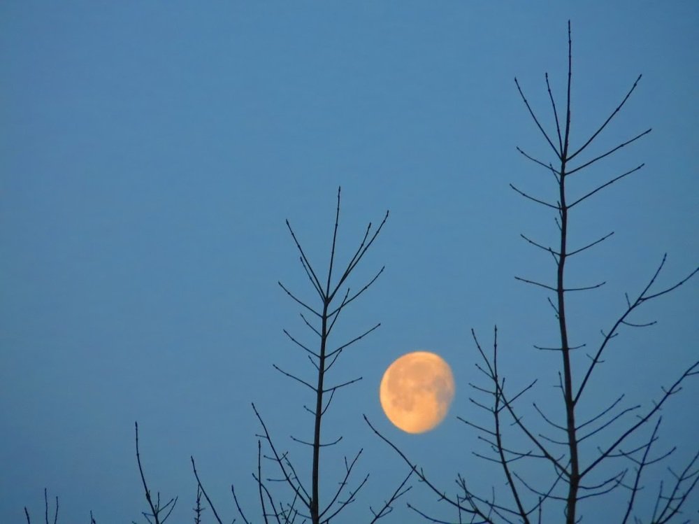 Photograph by brigitte amadio