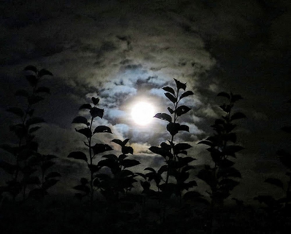 Photograph by brigitte amadio