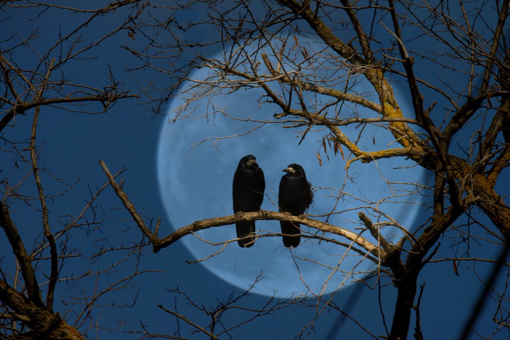 Говорили мы о любви с тобой