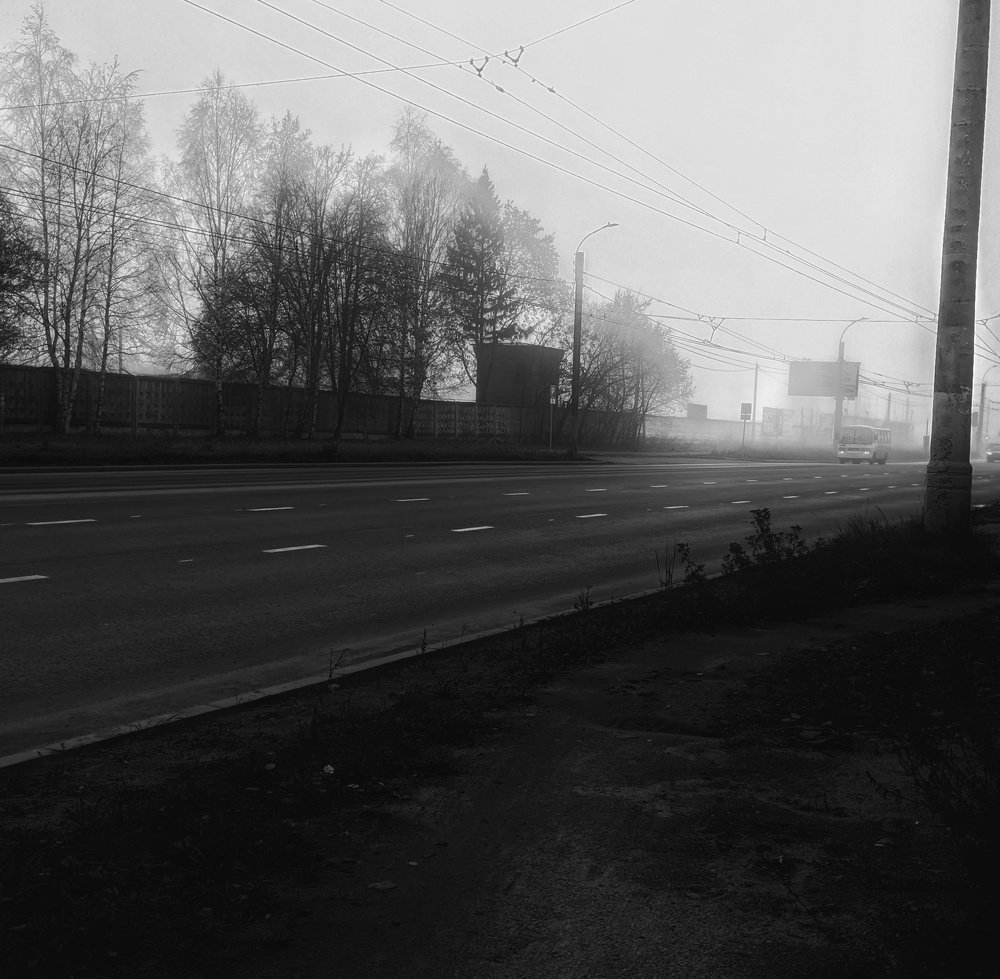 Photo #3911332