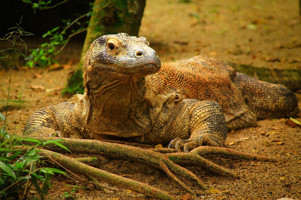 Photograph by Татьяна Бирюкова