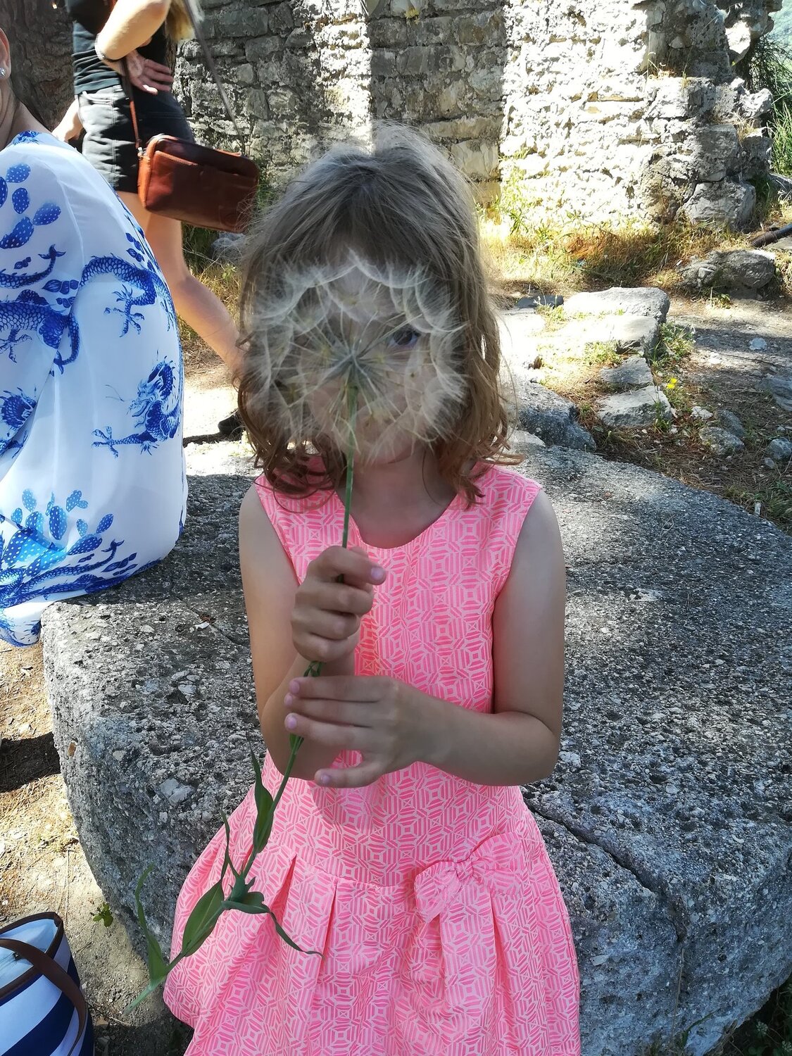 Photo #3911563