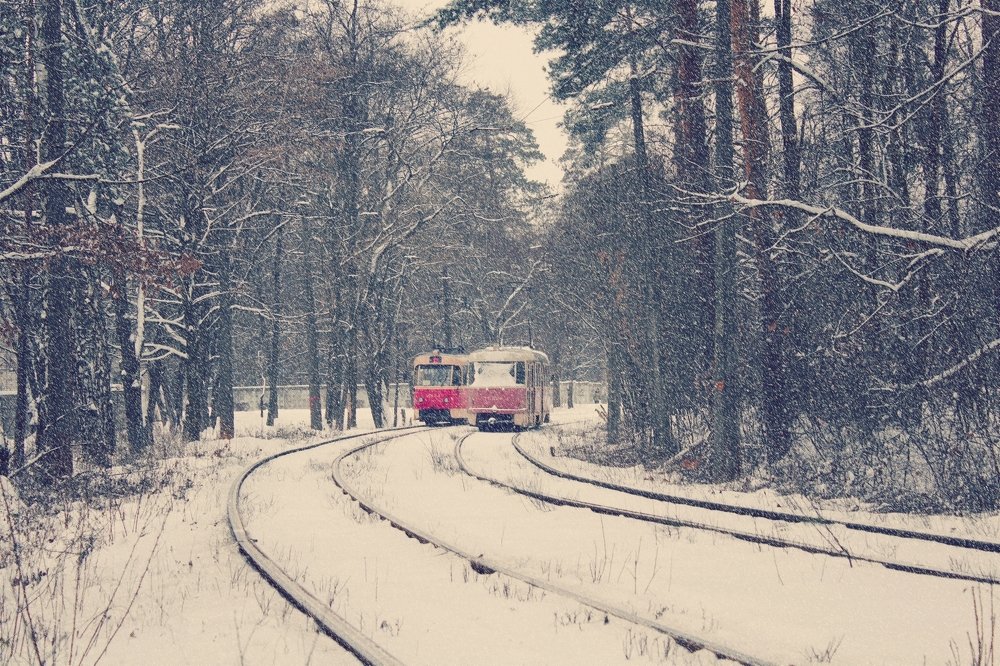 Фотография автора Юлия Капустинская