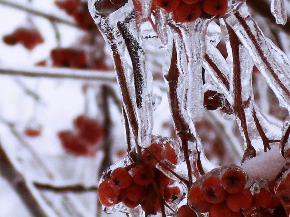 Photograph by Вадим Беляев