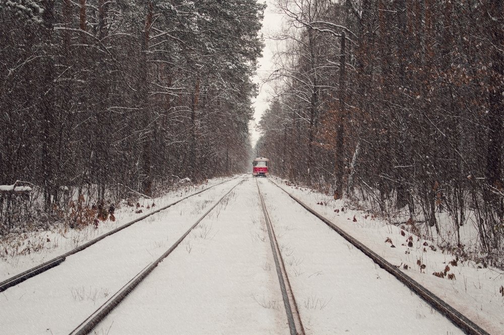 Фотография автора Юлия Капустинская