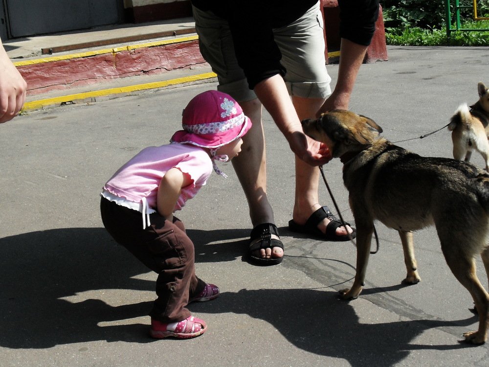 Photograph by Вадим Беляев
