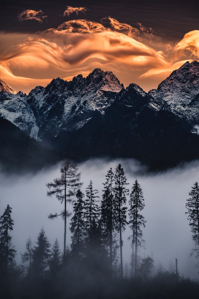 Фотография автора Jakub Witos