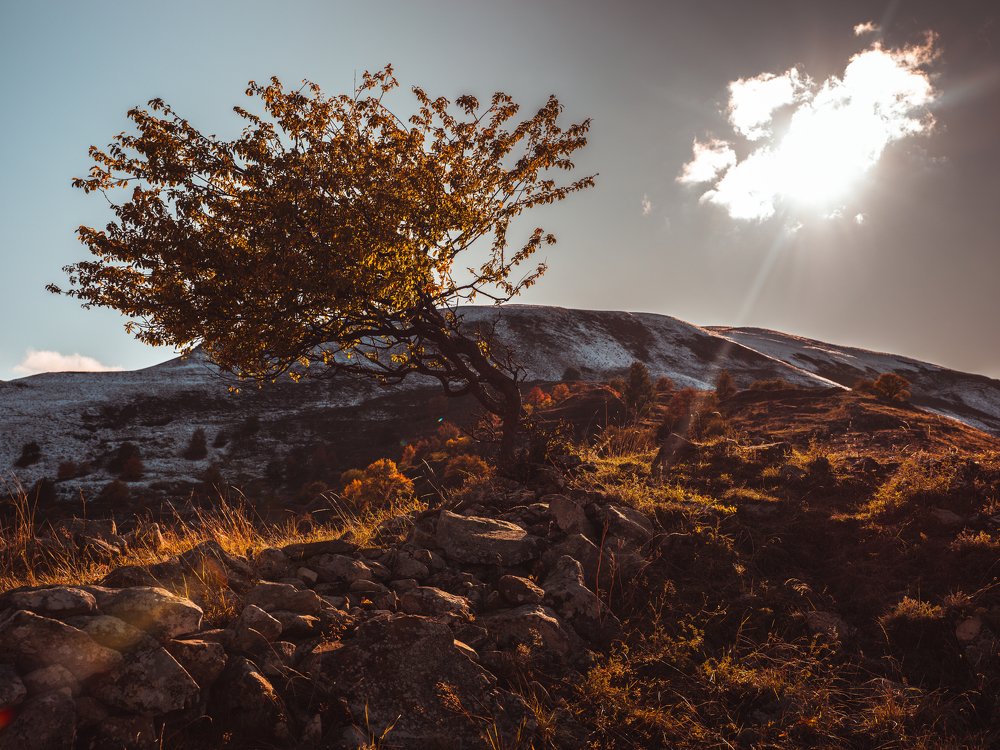 Photograph by Даниил Рождественский