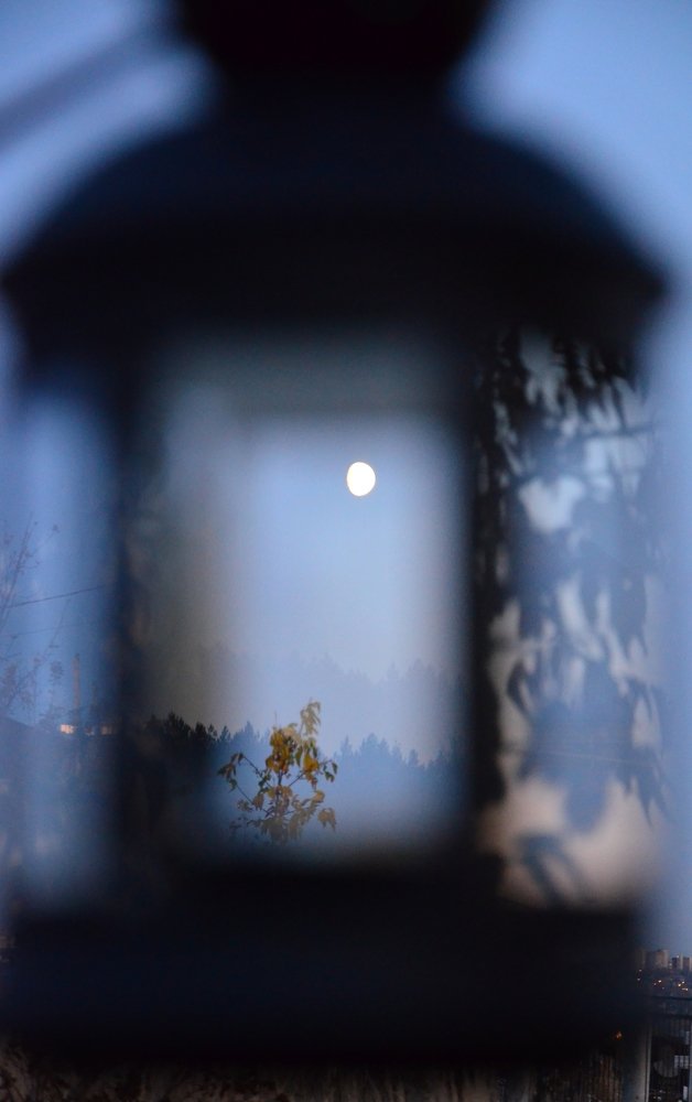 Photograph by Ольга Мукина