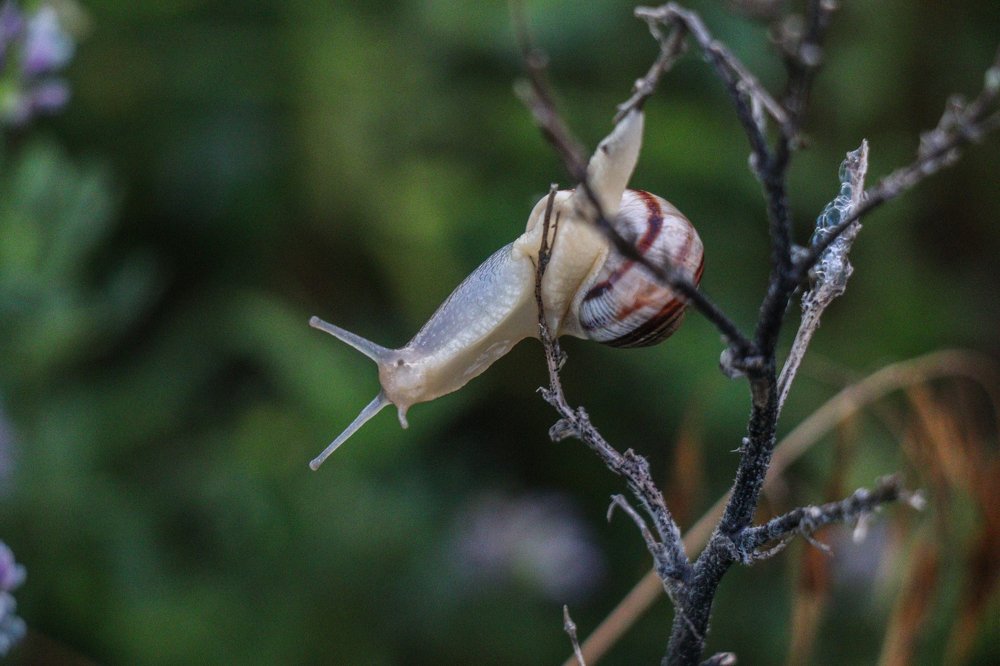 Photograph by Марина Тимакова