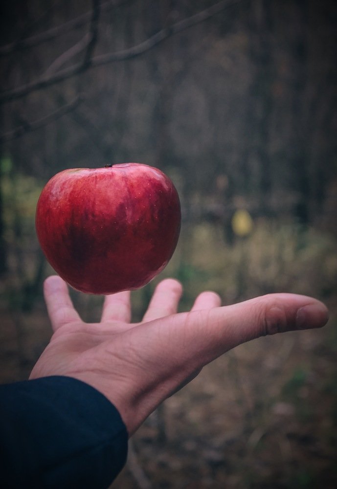 Photograph by Ольга Мукина