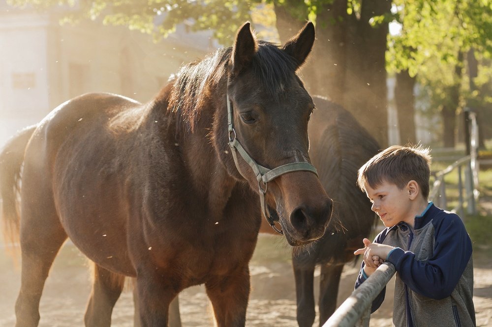 Теплый друг