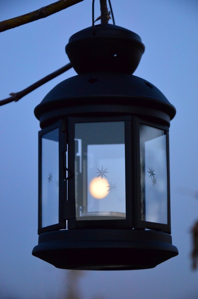 Photograph by Ольга Мукина