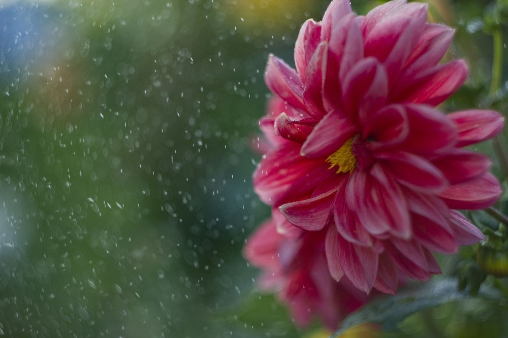 Photograph by Юлия Бусыгина