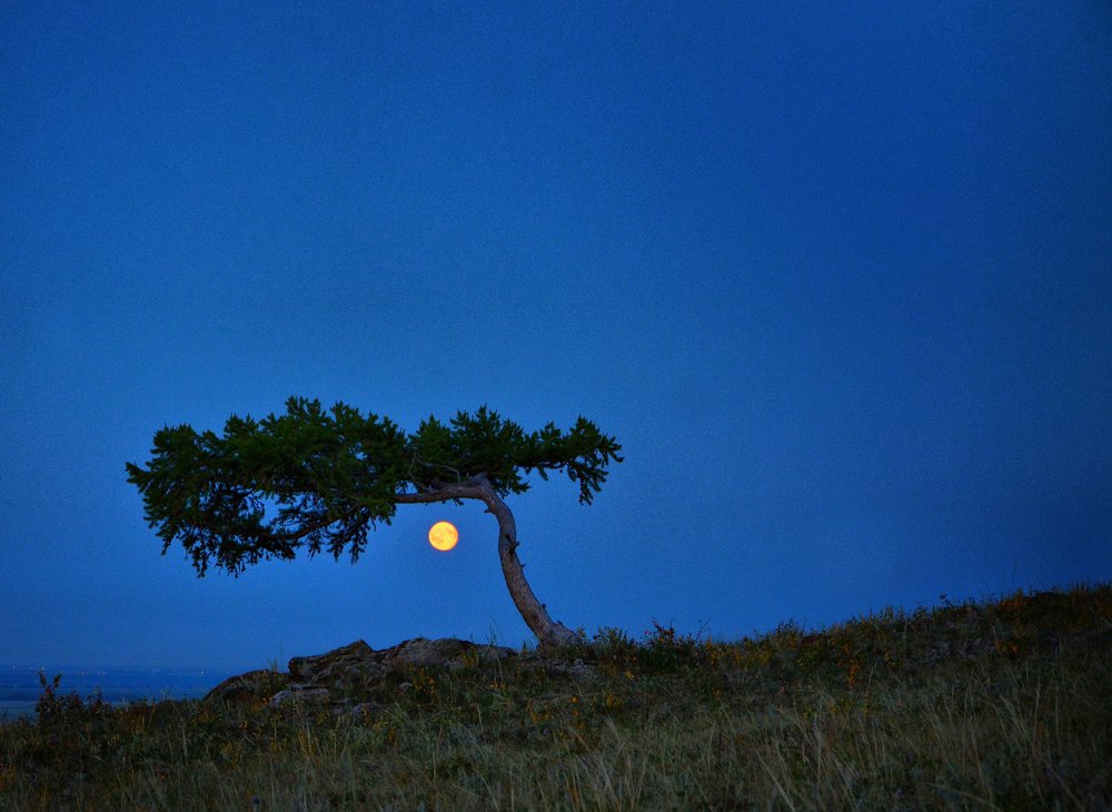 На севере диком стоит одиноко...