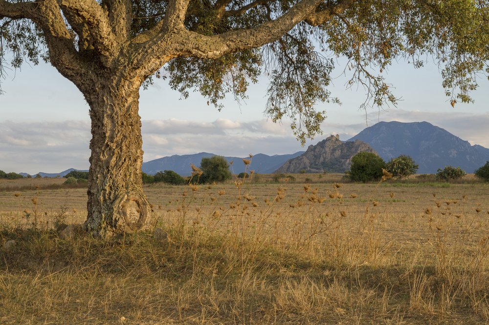 Photograph by Giacomo Ena