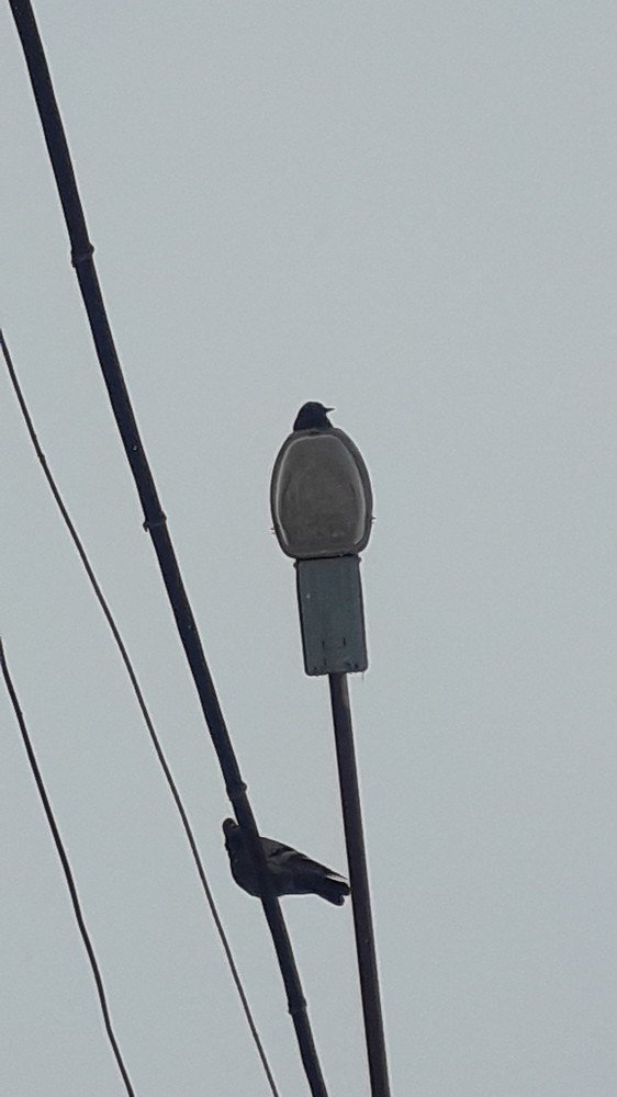 Фотография автора Оксана Талан