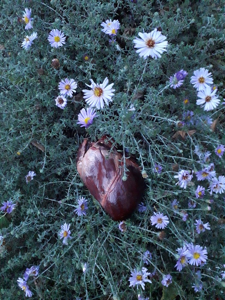 Фотография автора Оксана Талан