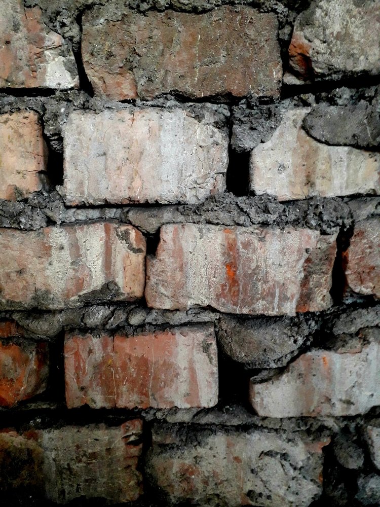 Фотография автора Оксана Талан