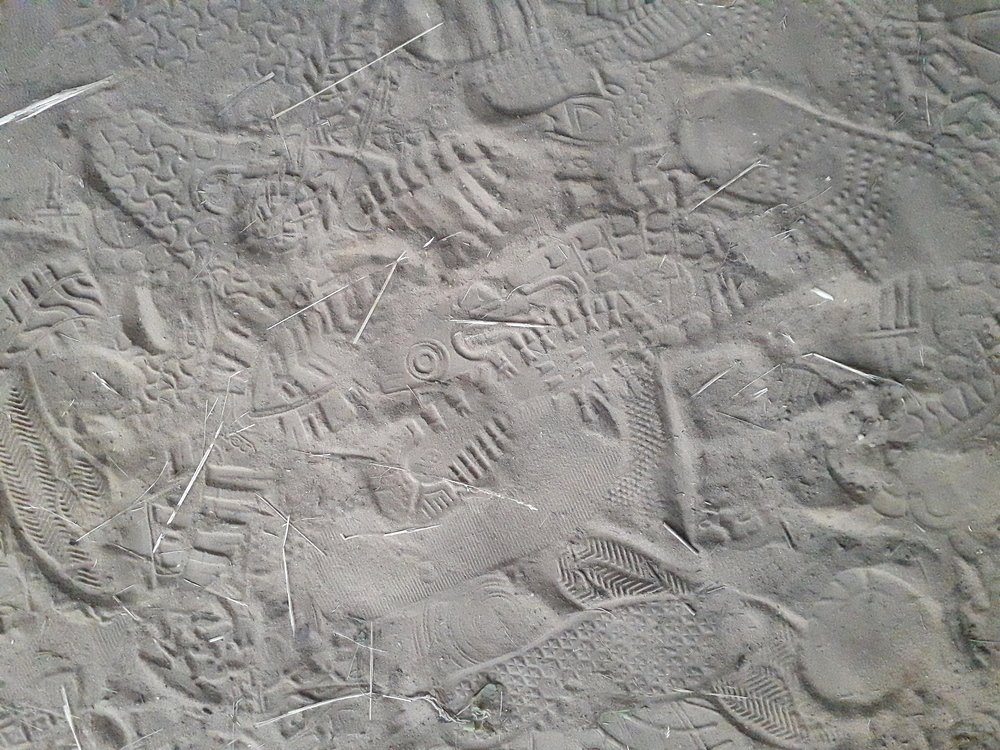 Фотография автора Оксана Талан