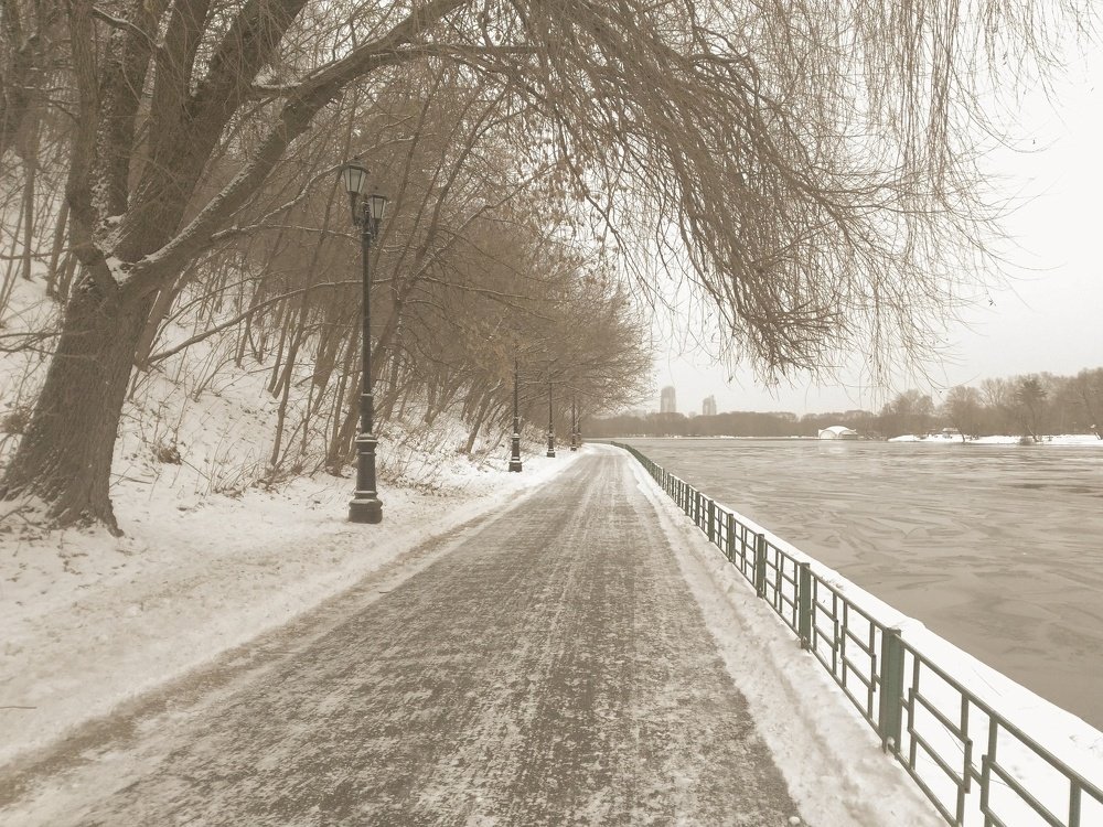 Photograph by Мартынова Ирина