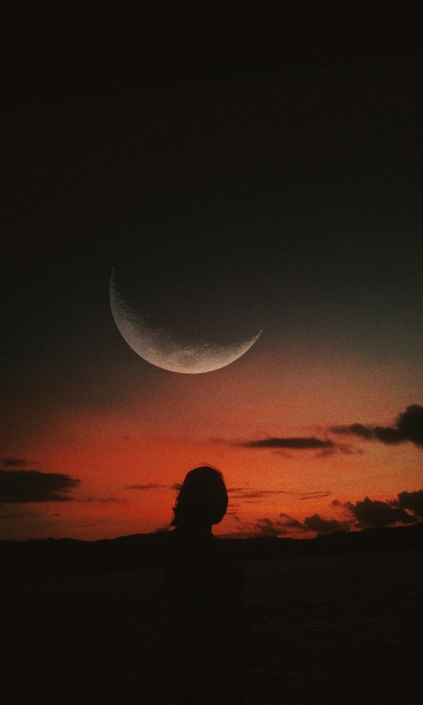 Photograph by Rain