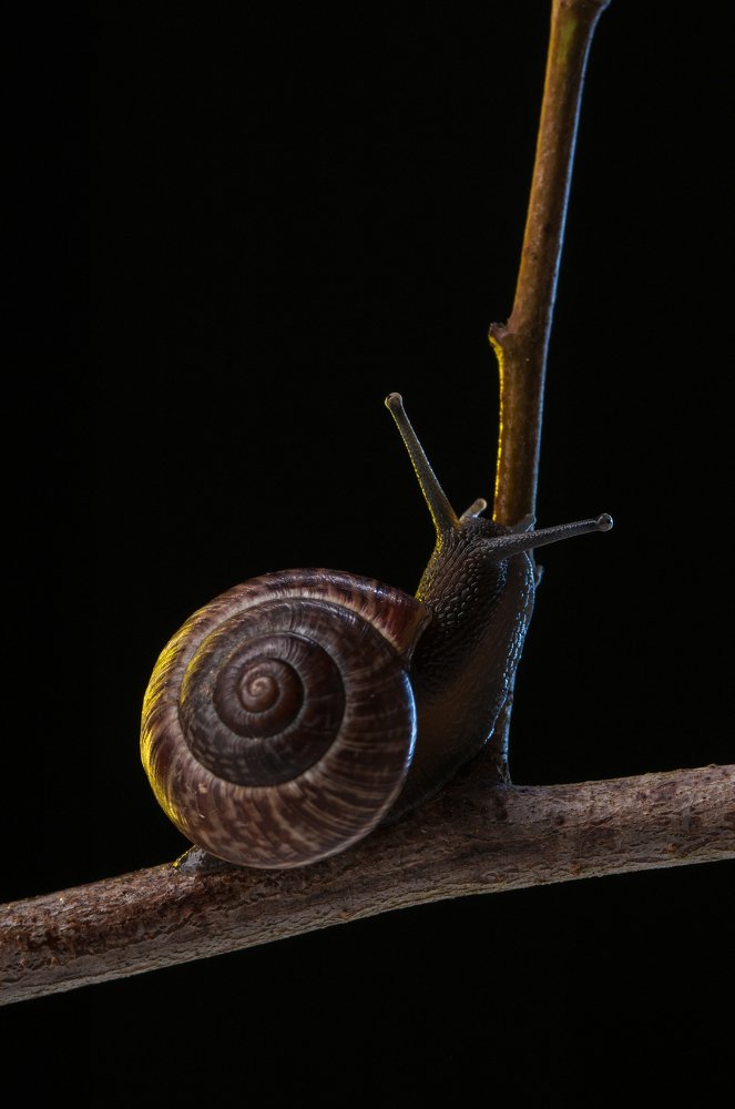 Фотография автора Кирилл Сизов