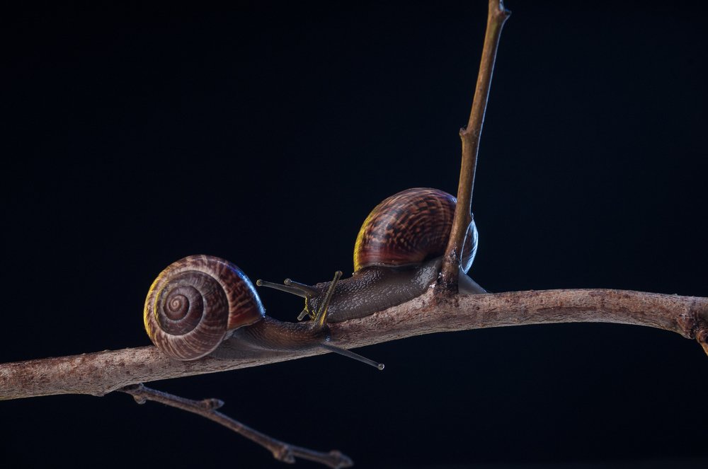 Фотография автора Кирилл Сизов