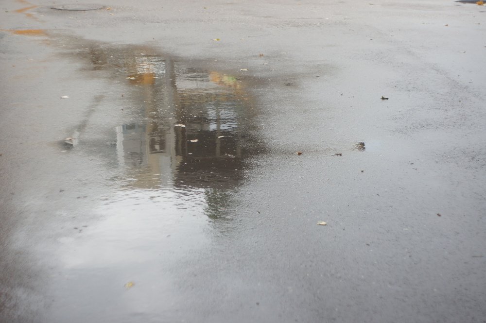 Фотография автора Дмитрий Градинар