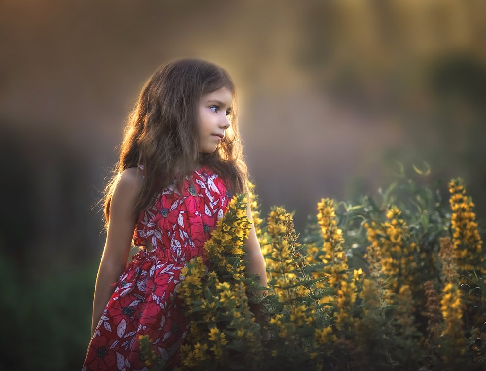 Photograph by Сергей Сухой