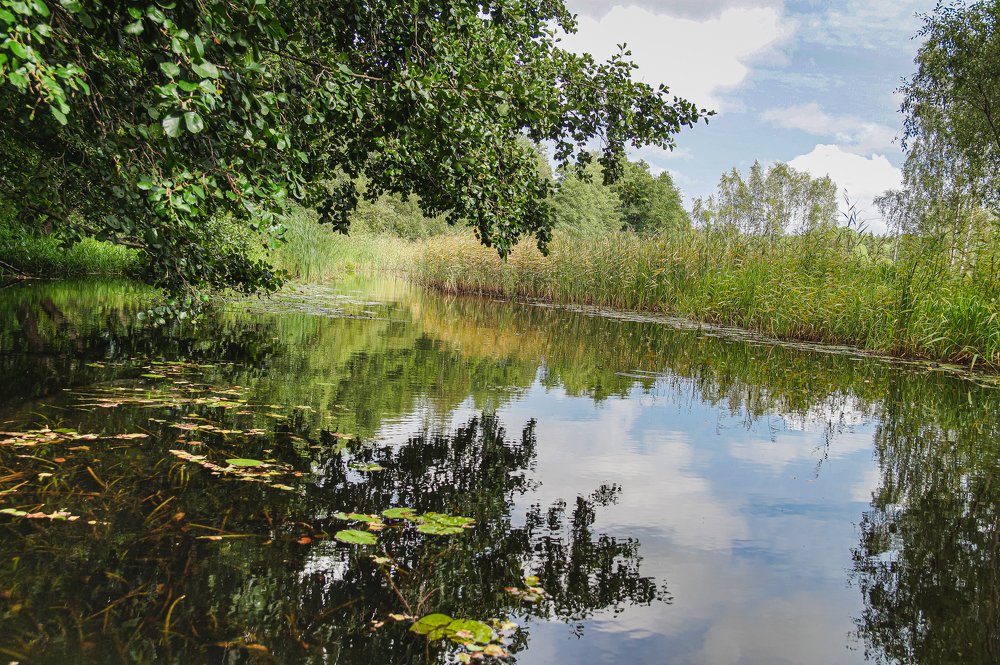 Photograph by Игорь Камов