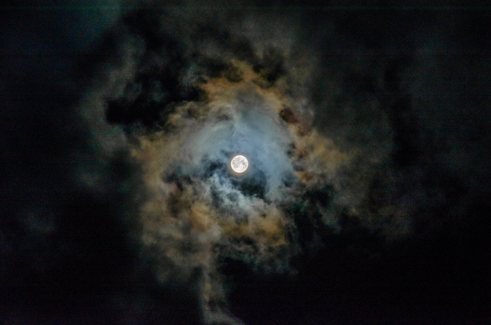 Photograph by Наталья