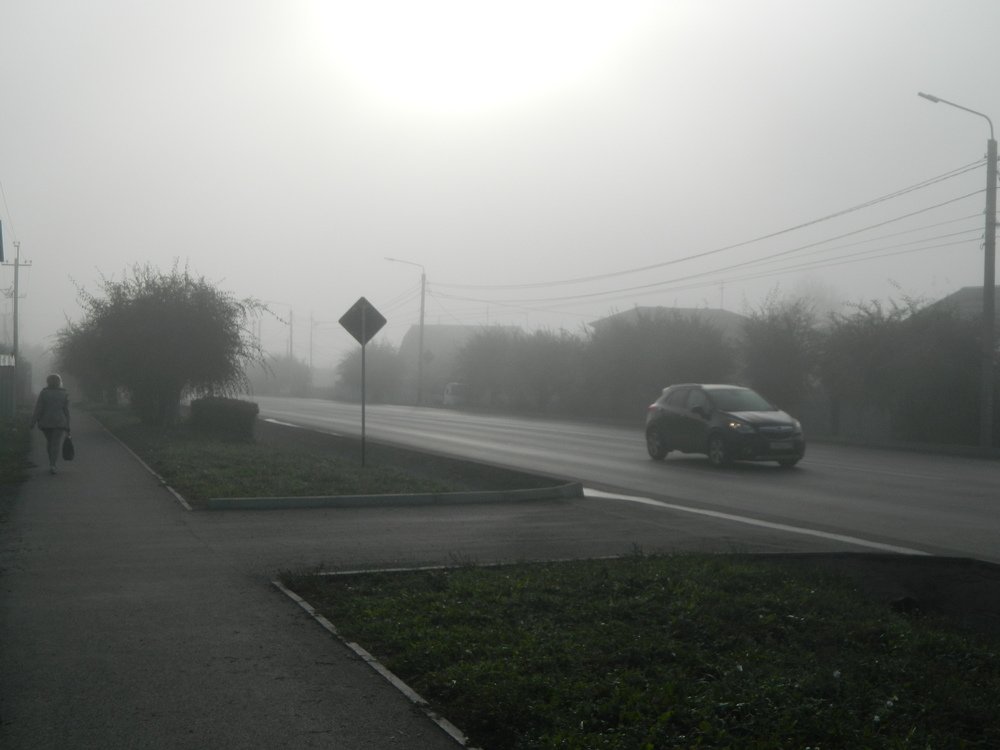 Photograph by Татьяна Гульпа