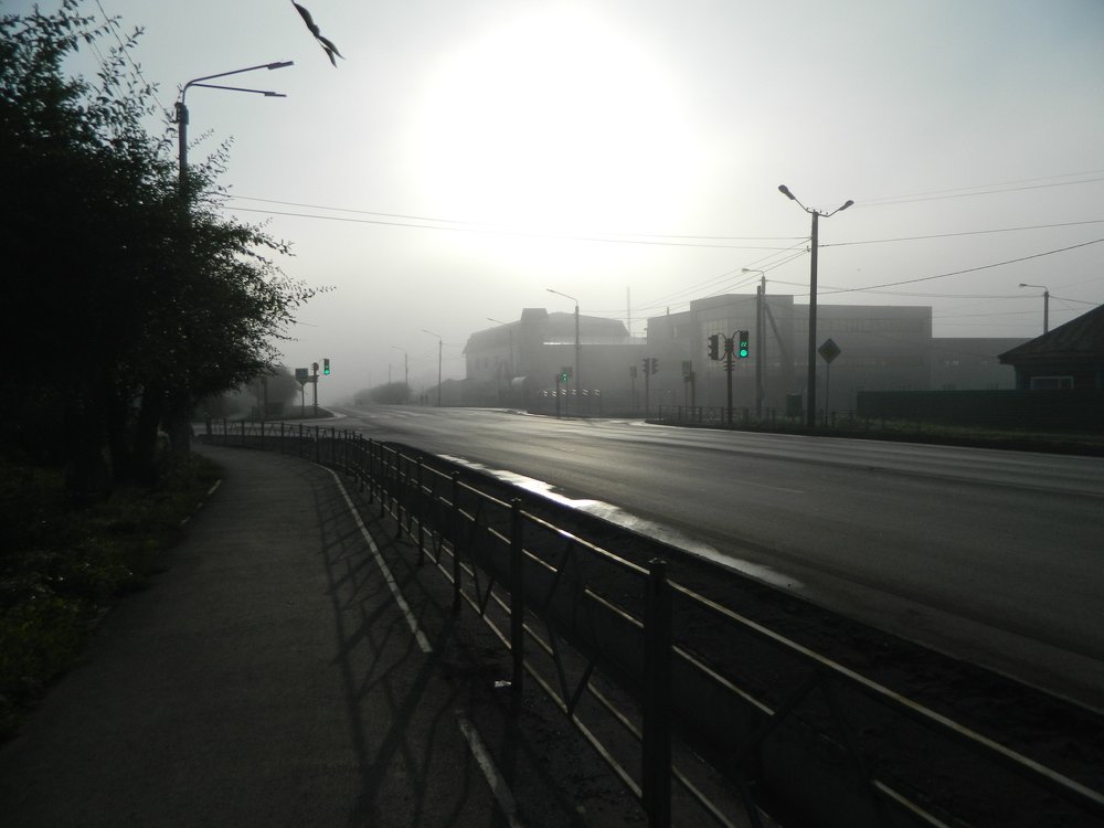 Photograph by Татьяна Гульпа