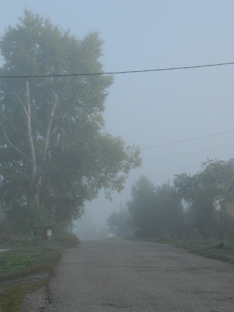 Photograph by Татьяна Гульпа